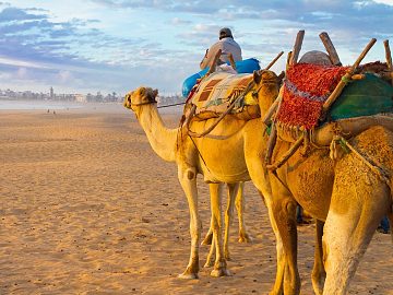 Zdjęcie kierunku: Agadir